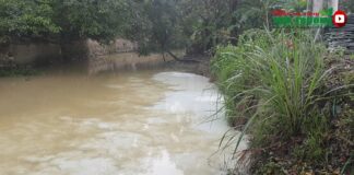 Cả đoạn kênh nước trắng xóa, bột đá lắng đọng dày đặc. Đó là thực trạng đang diễn ra nhiều năm qua tại kênh nhà Lê đoạn chảy qua phường An Hưng và phường Quảng Thắng, thành phố Thanh Hóa (Thanh Hóa).