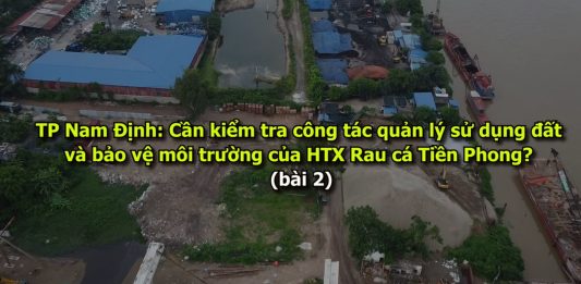 Về công tác quản lý sử dụng đất và bảo vệ môi trường của HTX Rau cá Tiền Phong trên địa bản quản lý của phường Trần Quang Khải.