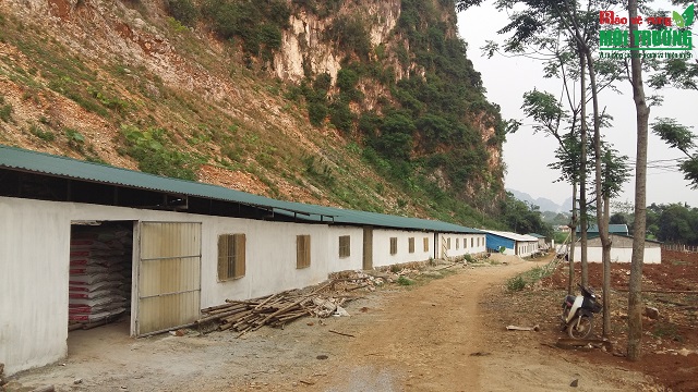 Trang trại nấm khang trang của người lính Vũ Xuân Bình tại xã Ngọc Khê, huyện Ngọc Lặc.