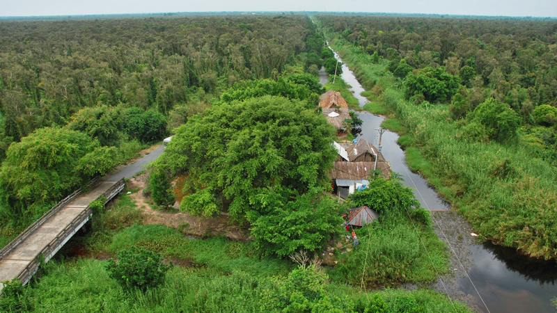 Rừng U Minh là khu rừng quan trọng của Việt Nam và thế giới