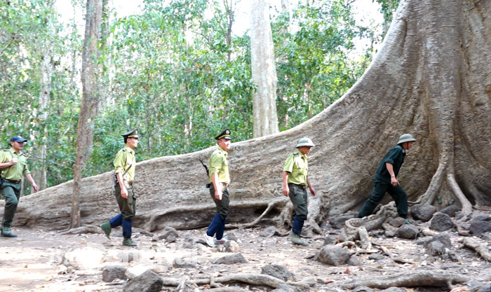 Các kiểm lâm viên của Trạm Kiểm lâm cơ động, thuộc Hạt Kiểm lâm Vườn quốc gia Cát Tiên đi tuần tra trong rừng.