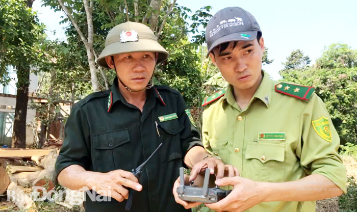Ông Phạm Ngọc Tuấn, Phó trạm trưởng Trạm Kiểm lâm cơ động - Hạt Kiểm lâm Vườn quốc gia Cát Tiên hướng dẫn nhân viên sử dụng flycam trong công tác tuần tra, bảo vệ rừng.