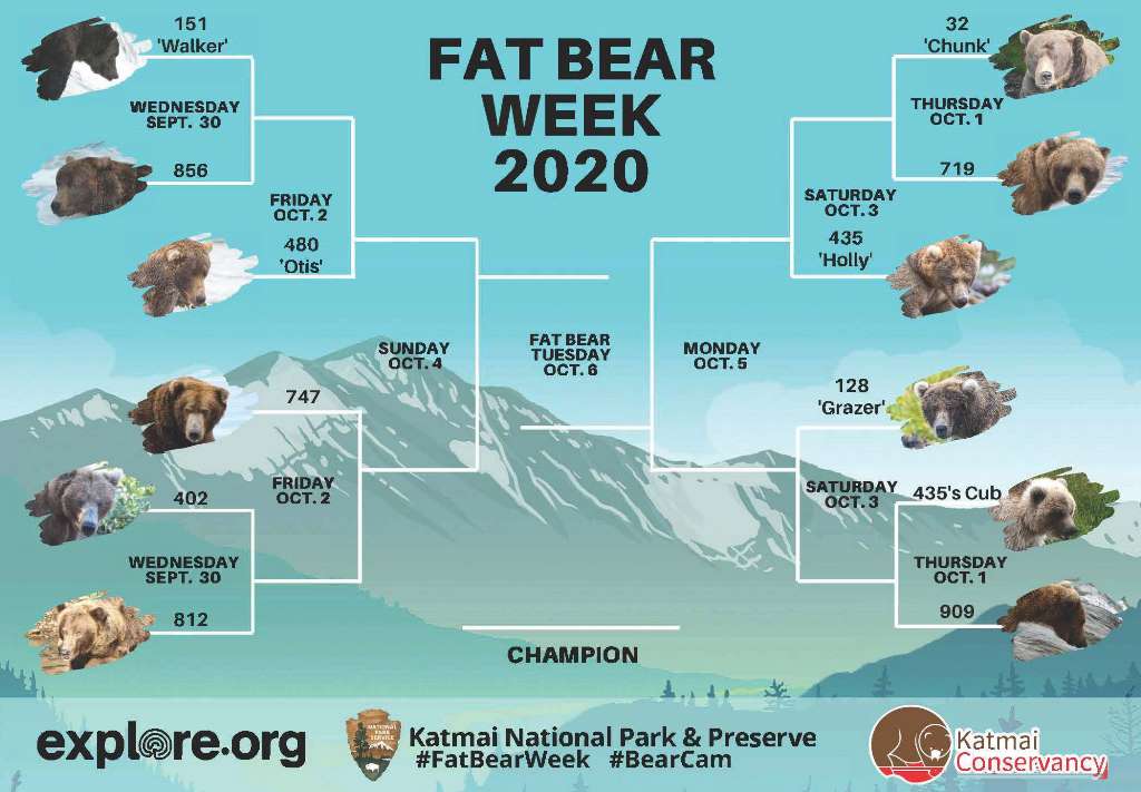 Danh sách 12 chú gấu ứng cử viên cho Tuần lễ Gấu béo năm 2020.