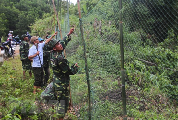 Lực lượng chức năng và người dân địa phương Quảng Trị giăng lưới ngăn chặn đàn voọc xuống đường cắn người. (Ảnh: Hồ Cầu/TTXVN)