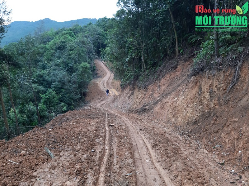 Đoạn đường dài hơn 2,4km được nhóm lâm tặc phá rừng mở để thực hiện hành vi trái pháp luật.