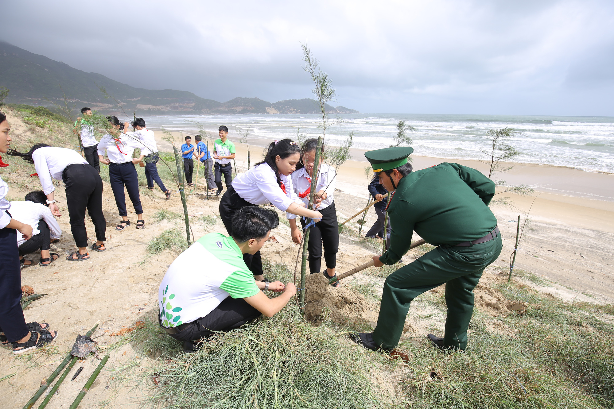 Các học sinh, đoàn viên thanh niên, chiến sĩ bộ đội cùng tham gia trồng cây trong chương trình Quỹ trao tặng 110.000 cây xanh tại tỉnh Bình Định.