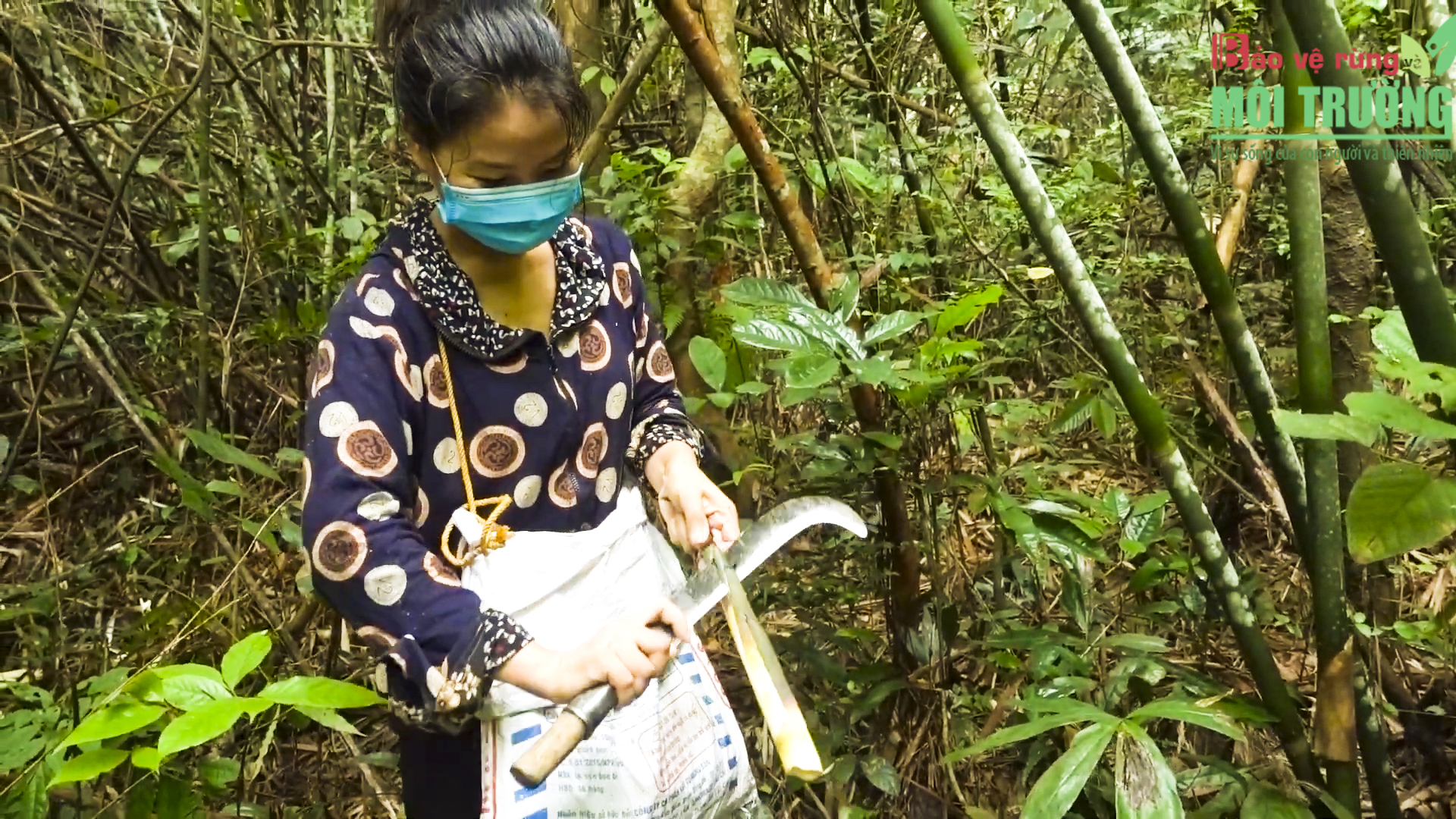 Người dân biết được lợi ích từ rừng mang lại trong công tác bảo vệ rừng.