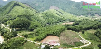 Phát triển kinh tế trồng rừng tại huyện Đồng Hỷ Thái Nguyên