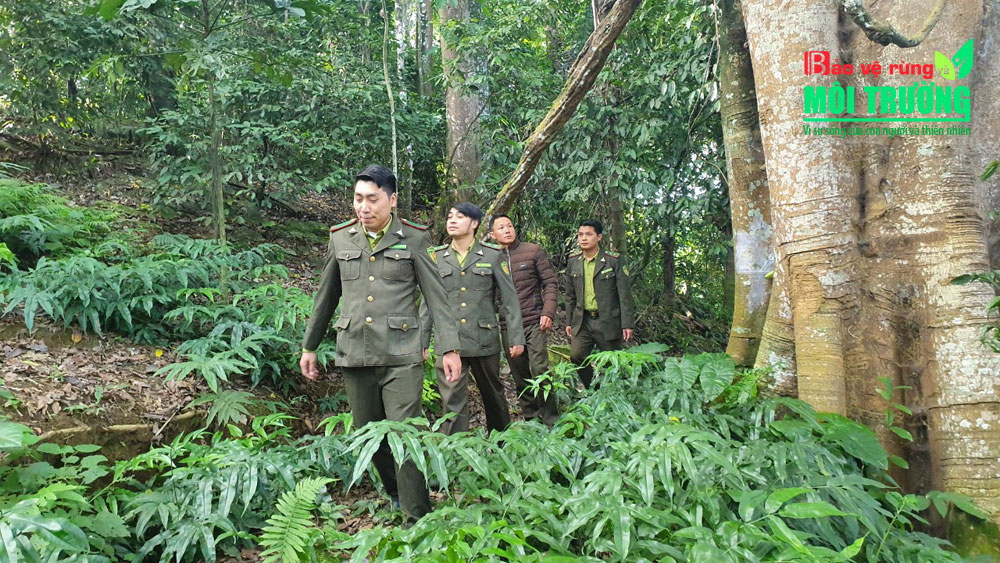 Cán bộ Kiểm lâm huyện Si Ma Cai tăng cường kiểm tra, nắm bắt diễn biến rừng trên từng địa bàn huyện.