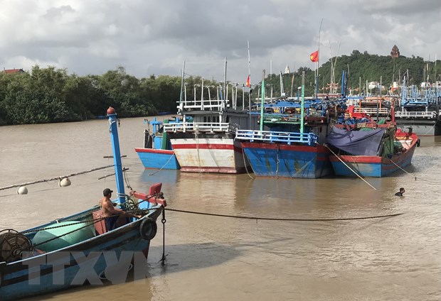 Ngư dân Phú Yên neo đậu tàu thuyền tránh trú bão. (Ảnh: Phạm Cường/TTXVN)