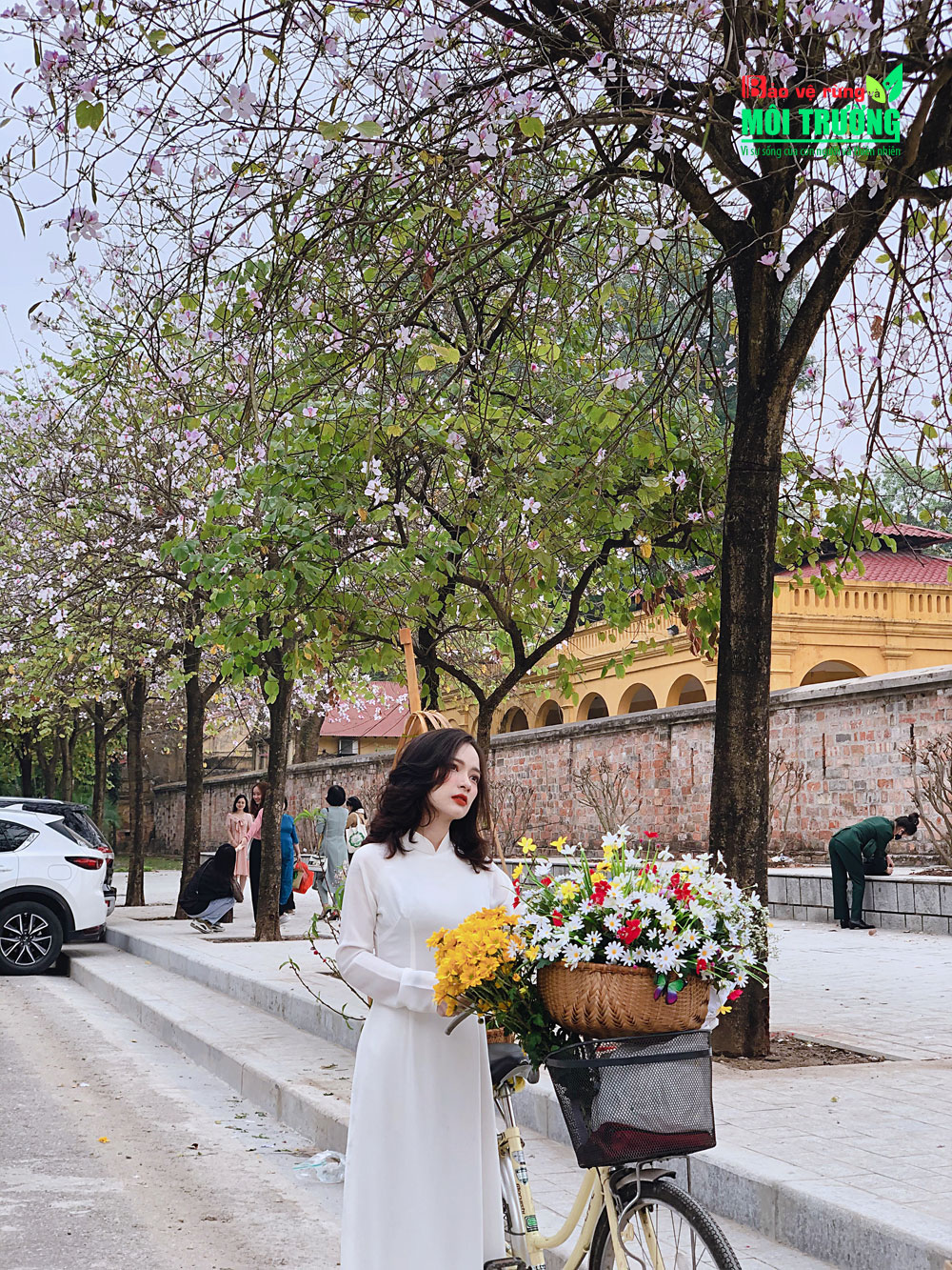 Dưới bóng cây ban, người thiếu nữ Hà Thành dường như được tỏa sáng hơn trong sắc trắng hoa ban. Đa số du khách lựa chọn cho mình những bộ áo dài, trang phục dân tộc để lưu lại khoảnh khắc khoe sắc của hoa ban.