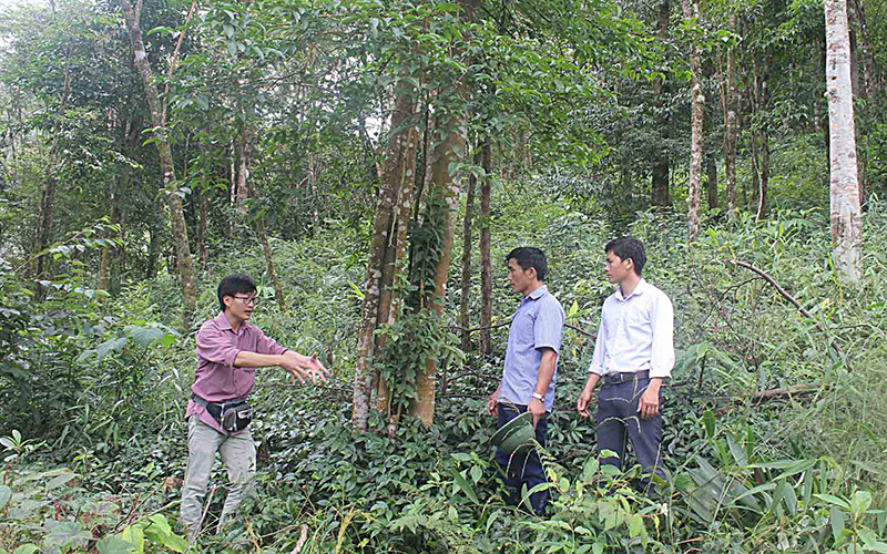 Cán bộ huyện Tam Đường (Lai Châu) kiểm tra công tác bảo vệ, phòng, chống cháy rừng.