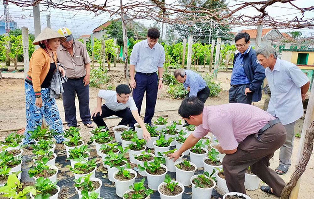 Phú Yên: Giúp nông dân tiếp cận tiến bộ khoa học kỹ thuật