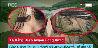 Thôn Hậu Trung, xã Hồng Bạch, huyện Đông Hưng tỉnh Thái Bình, đang có hàng nghìn m3 đất được doanh nghiệp khai thác trái phép để mang đi đắp đê.
