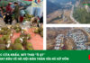 Bản tin Nông Lâm Tài nguyên Môi trường số 25 – ngày 01/01/2022, của Tạp chí Bảo vệ Rừng và Môi trường hôm nay sẽ có các nội dung chính sau đây: