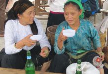 Huyện Hà Quảng là một trong những địa phương đi đầu của tỉnh Cao Bằng trong việc áp dụng khoa học công nghệ vào các hoạt động sản xuất và đời sống. Tận dụng lợi thế đó, hợp tác xã Cải Viên đã đưa dự án rượu ngô Cải Vân (trước đó là rượu Cải Viên) vào hoạt động và thu được những thành quả đáng ghi nhận.