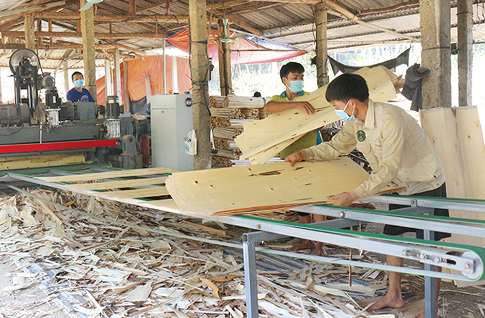 Phú Thọ: Tạo đà phát triển công nghiệp chế biến gỗ - Tạp chí điện tử Bảo vệ Rừng và Môi trường