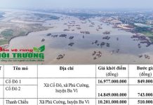 Theo thông tin được biết, tới đây Hà Nội sẽ tiếp tục tiến hành cho đấu giá tiếp 3 mỏ cát khác trên địa bàn huyện Ba Vì