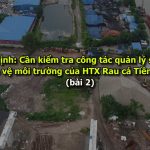 Về công tác quản lý sử dụng đất và bảo vệ môi trường của HTX Rau cá Tiền Phong trên địa bản quản lý của phường Trần Quang Khải.