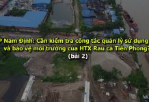 Về công tác quản lý sử dụng đất và bảo vệ môi trường của HTX Rau cá Tiền Phong trên địa bản quản lý của phường Trần Quang Khải.