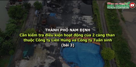 2 cảng than bị phản ánh là có dấu hiệu chưa đủ các quy định trong hoạt động đối với công tác sử dụng đất đai và bảo vệ môi trường là cảng than của Công ty TNHH MTV TMTH Liên Hùng và Công ty TNHH Tuấn Sinh.