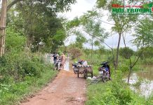 Ban Chỉ huy Phòng chống thiên tai và Tìm kiếm cứu nạn huyện Lý Nhân (Hà Nam) đã gấp rút di dời gần các hộ dân tại các khu vực ven đê chịu ảnh hưởng