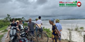 Chính quyền huyện Vũ Thư (Thái Bình) bác bỏ thông tin vỡ đê, khẳng định đây là tin giả, sai sự thật.